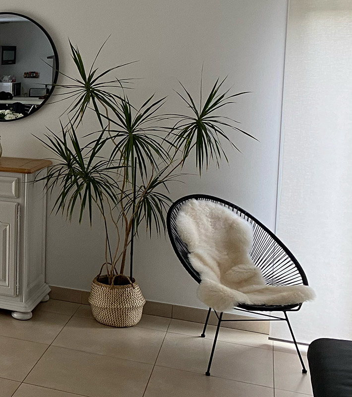 photo de l'aménagement d'un cabinet médical par HSP-Concept, votre agence de décoration à Valenciennes